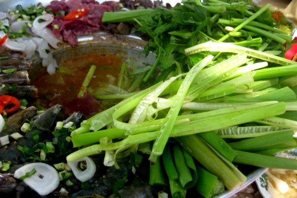 Độc đáo “lộc trời” ở Bạc Liêu