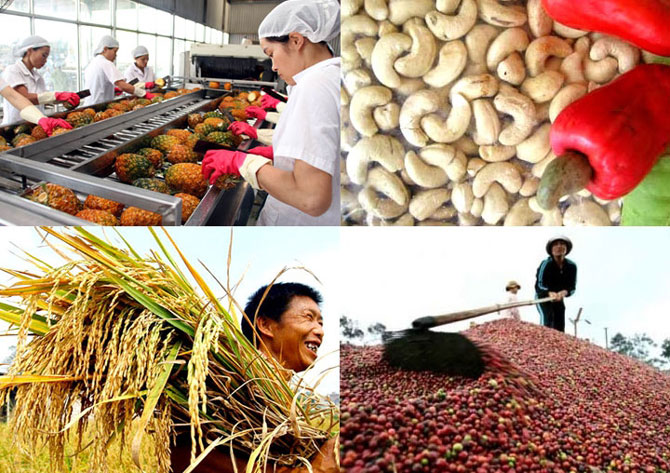 Xuất khẩu đạt kỷ lục, Bộ Công Thương dự kiến vượt chỉ tiêu Chính phủ giao