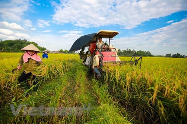Việt Nam phấn đấu vào top 15 về nông nghiệp hữu cơ