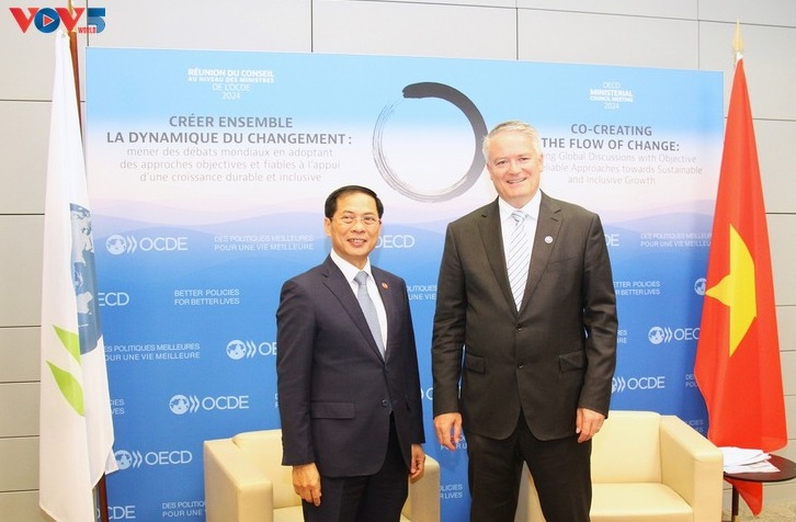OECD đánh giá cao Việt Nam trong vai trò Đồng Chủ trì Chương trình Đông Nam Á