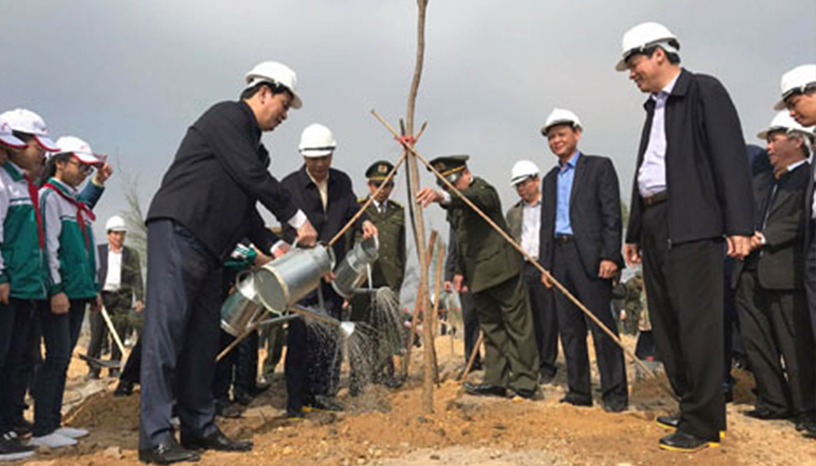 Chủ tịch nước phát động 'Tết trồng cây đời đời nhớ ơn Bác Hồ'