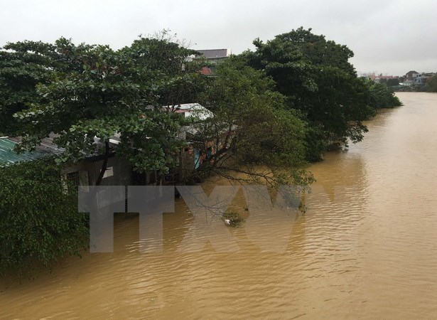Hội người Việt tại Pháp quyên góp quỹ hỗ trợ đồng bào vùng lũ lụt