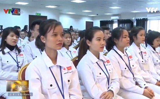 240 ứng viên Việt Nam tham gia khóa đào tạo tiếng Nhật