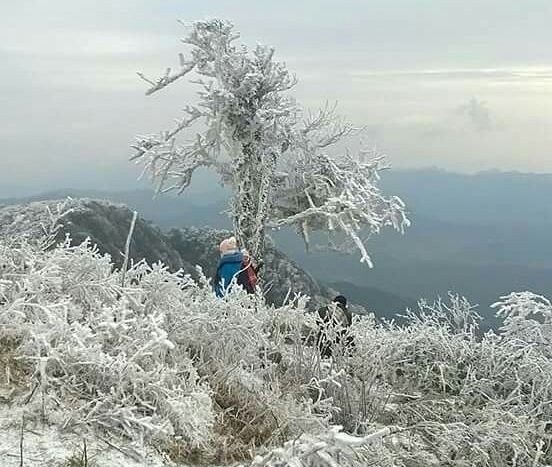 5 thiên đường ngắm tuyết rơi tuyệt đẹp tại Việt Nam