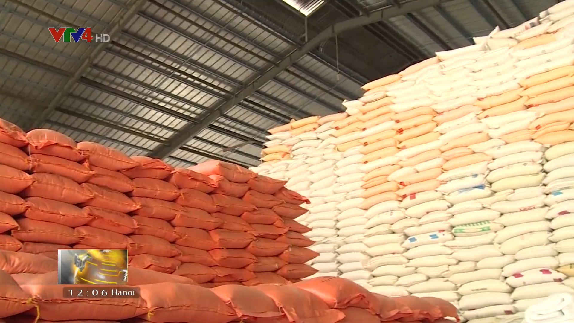 Việt Nam trúng nhiều gói thầu xuất khẩu gạo