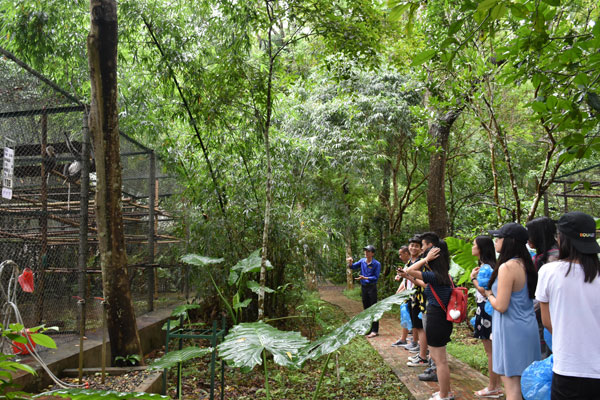 Trại hè Việt Nam 2018: Tham quan vườn Quốc gia Cúc Phương