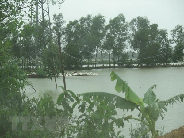 Kịp thời cứu một người bị nước lũ cuốn trôi tại tỉnh Nghệ An