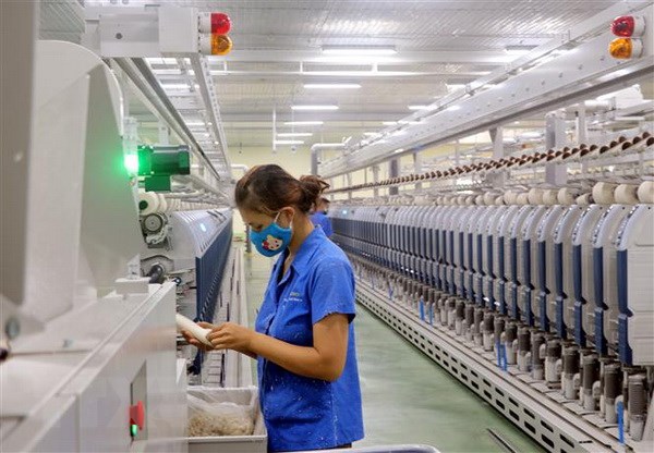 Vitas hợp tác với WWF nhằm xanh hóa ngành dệt may Việt Nam
