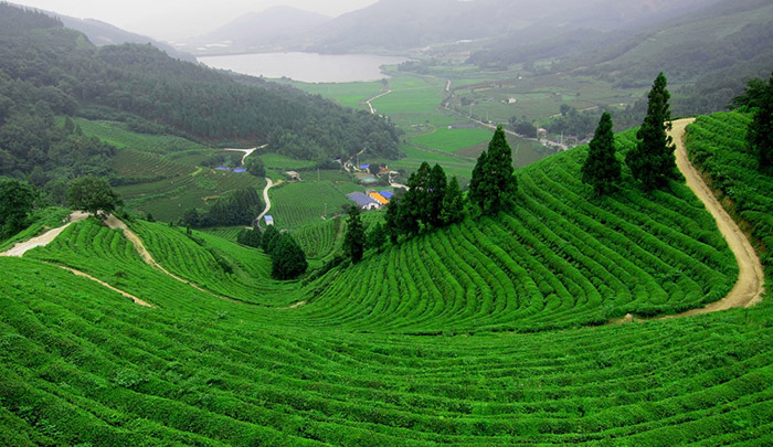 Không thể bỏ qua những điểm du lịch này khi đến Thái Nguyên