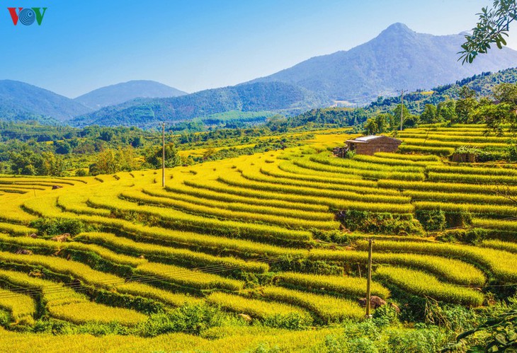 Vùng cao Quảng Ninh thu hút du khách trải nghiệm trong mùa thu