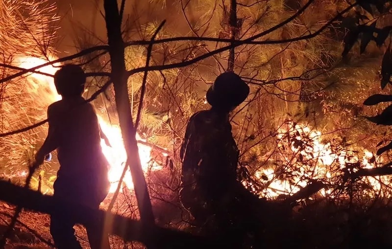Hơn 2.000 người tham gia chữa cháy rừng xuyên đêm ở Nghệ An
