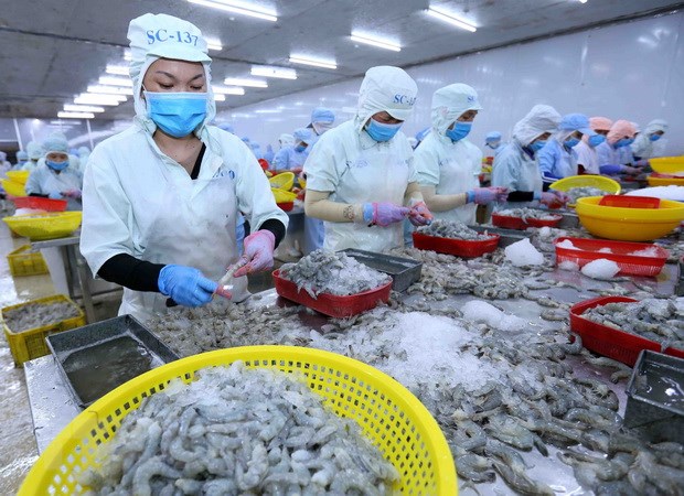 Xuất khẩu thủy sản của Việt Nam sẽ hồi phục mạnh mẽ