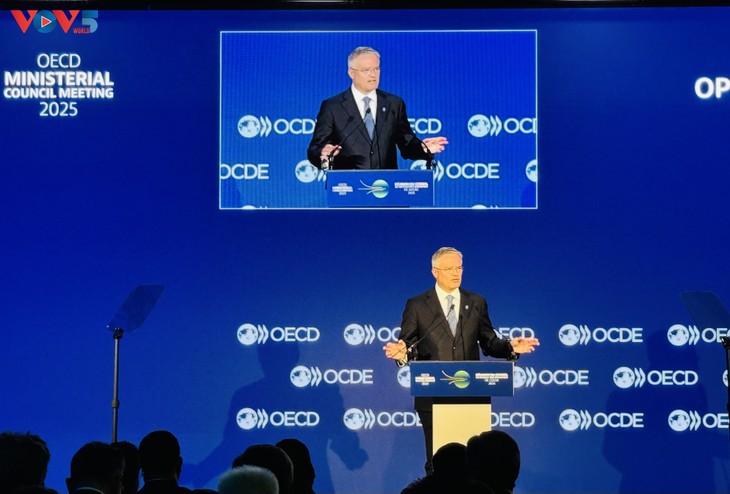 Tổng Thư ký OECD: Việt Nam chủ động và trách nhiệm khi đảm nhiệm vai trò đồng chủ tịch Chương trình Đông Nam Á