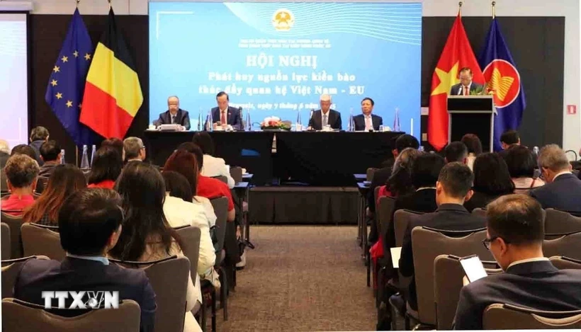 Phát huy trí tuệ kiều bào, động lực cho đột phá phát triển đất nước