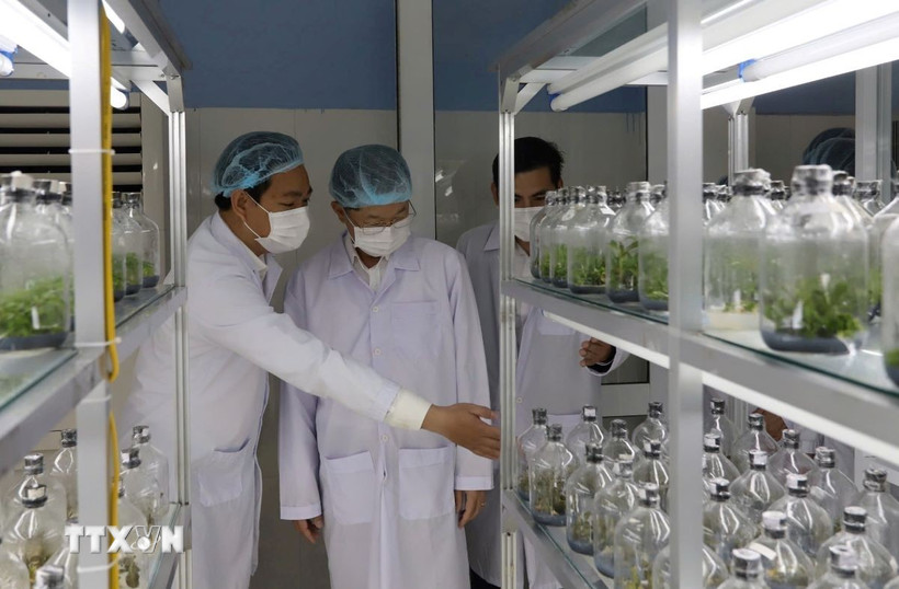 Đột phá theo Nghị quyết 57: Đường tới phép màu công nghệ 