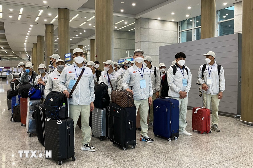 Quy định mới nhất về hỗ trợ người lao động Việt Nam làm việc ở nước ngoài