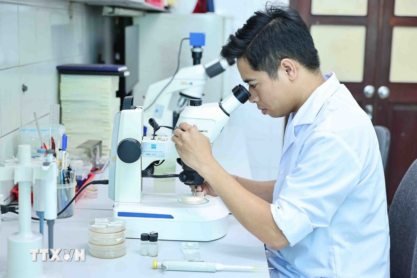 Trách nhiệm và vai trò của người Việt xa quê với tương lai đất nước