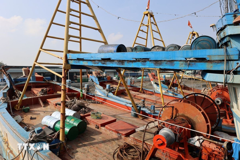 Khắc phục “thẻ vàng” IUU: Đồng bộ dữ liệu và hiện đại hóa hạ tầng nghề cá