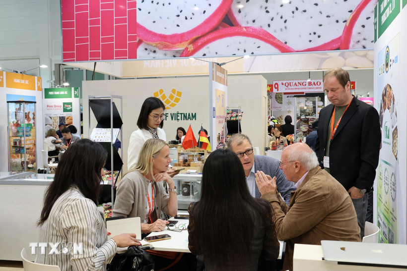 Huy động người Việt ở nước ngoài giới thiệu sản phẩm, phát triển kênh phân phối