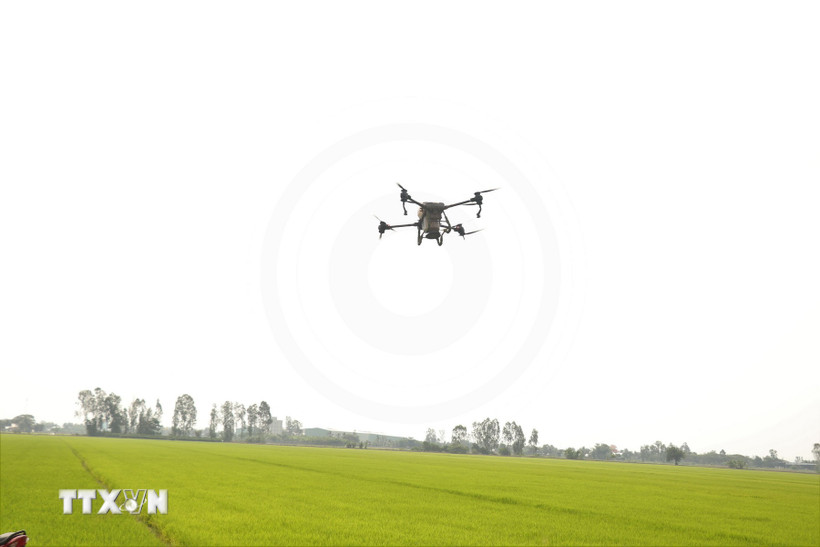 Cần Thơ: Cánh cửa đưa lúa gạo Việt vào thị trường tín chỉ carbon