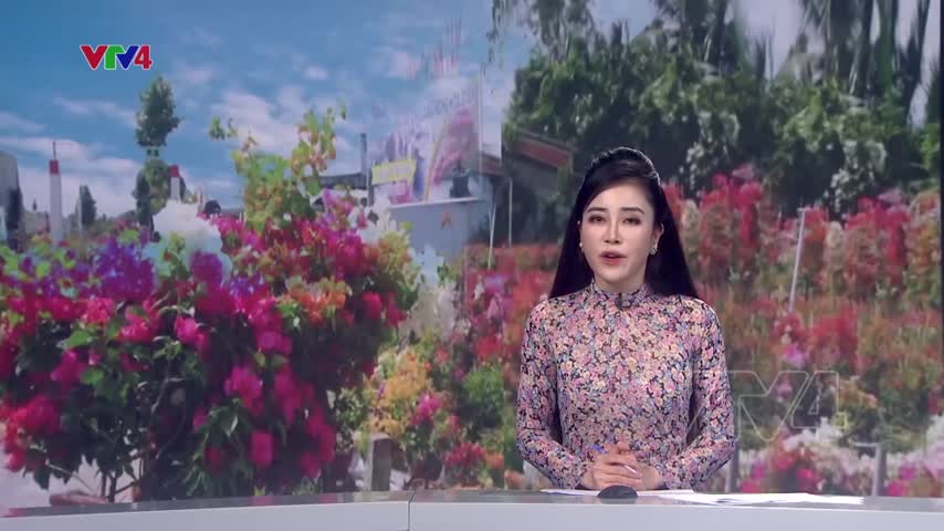 Lộng lẫy làng hoa Cái Mơn, Bến Tre