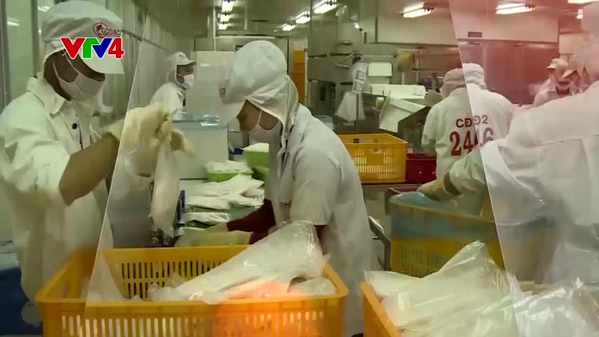 Focus: Đột phá chế biến nông sản