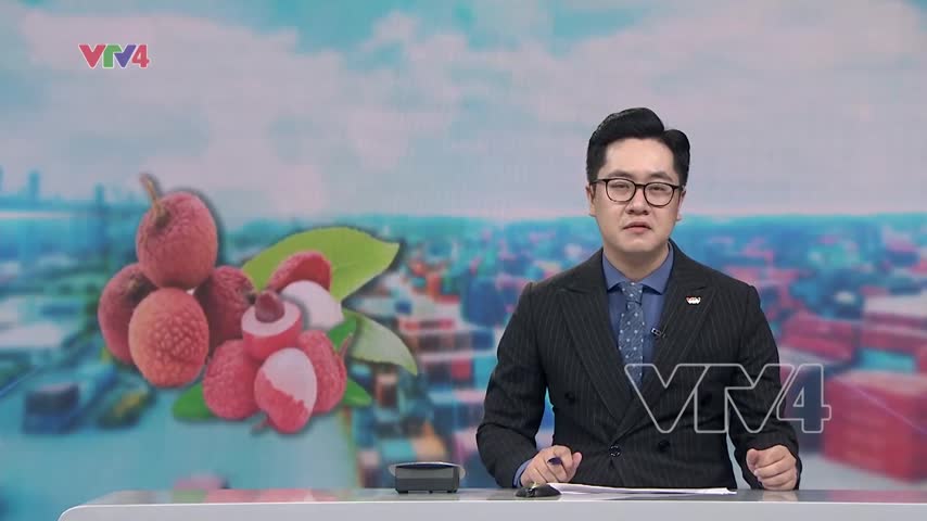 Nâng cao chất lượng vải thiều đáp ứng thị trường Nhật Bản