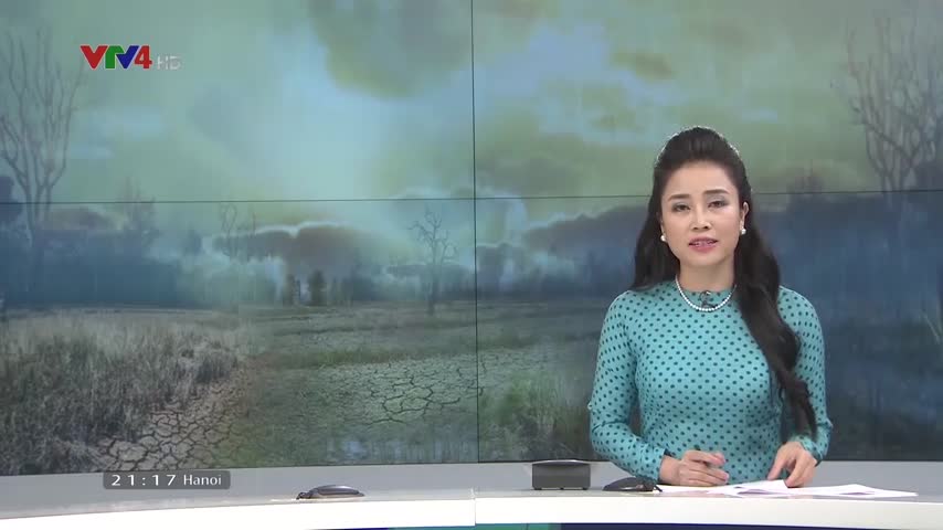 Phỏng vấn Đại diện UNDP về khả năng chống thiên tai