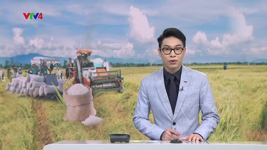 Xuất khẩu gạo 7 tháng tăng