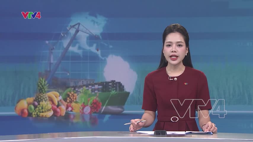 Xuất khẩu rau quả quay lại đà tăng