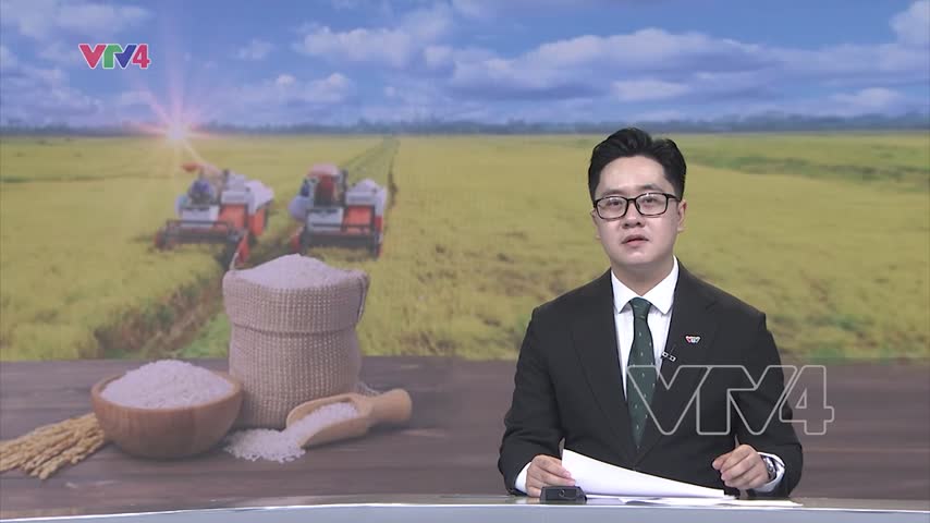 Việt Nam có nhãn hiệu 