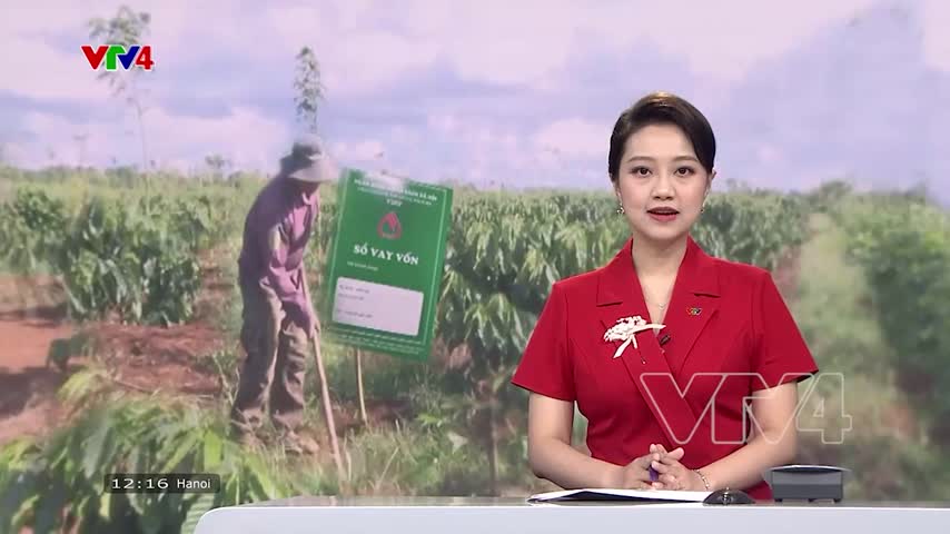 Đồng bào thiểu số vay vốn thoát nghèo
