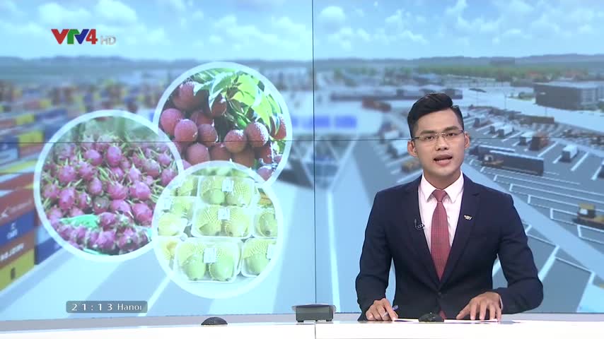 Việt Nam – Trung Quốc kết nối xúc tiến xuất nhập khẩu nông sản qua các tỉnh biên giới