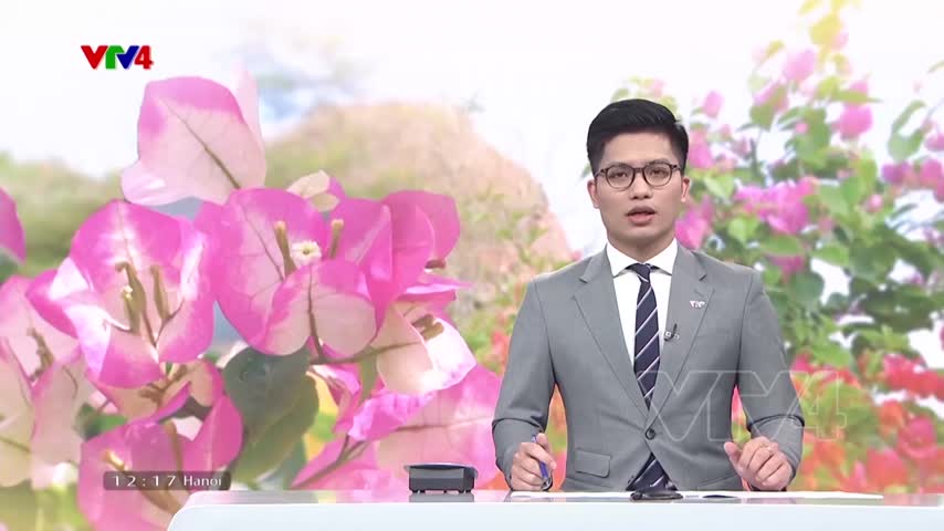 Sức sống làng hoa Cái Mơn