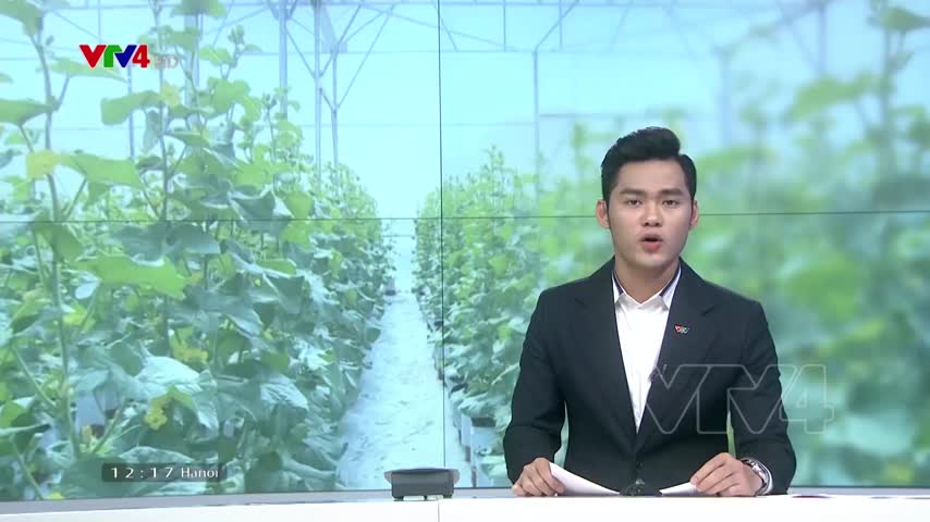 Hướng phát triển nông nghiệp giữa mùa khô hạn
