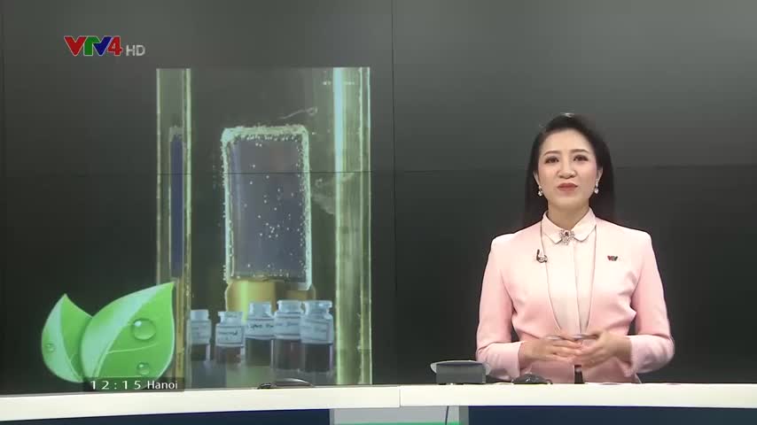 Việt Nam phát triển thành công 
