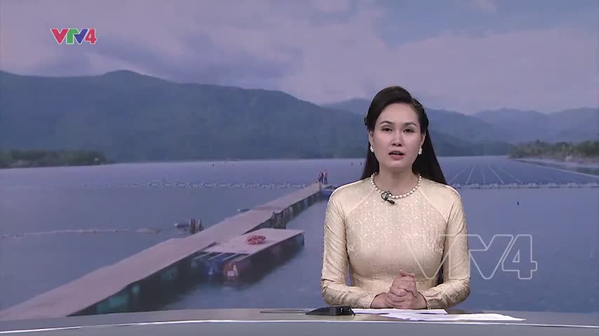 Doanh nghiệp Việt trong cuộc đua tín chỉ carbon