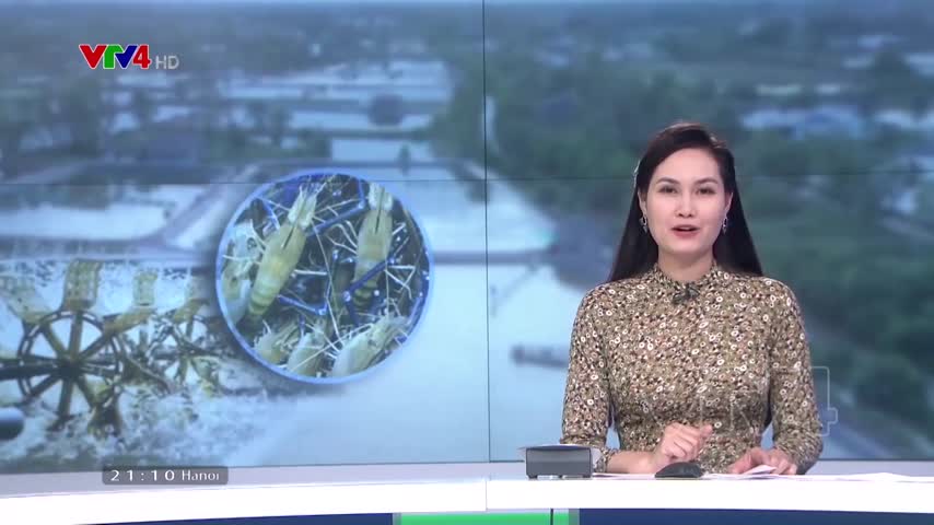 Làm giàu từ hạn mặn
