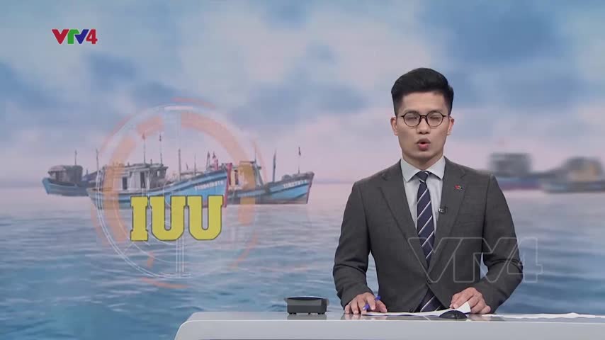 Tuần tra liên ngành phòng chống khai thác IUU