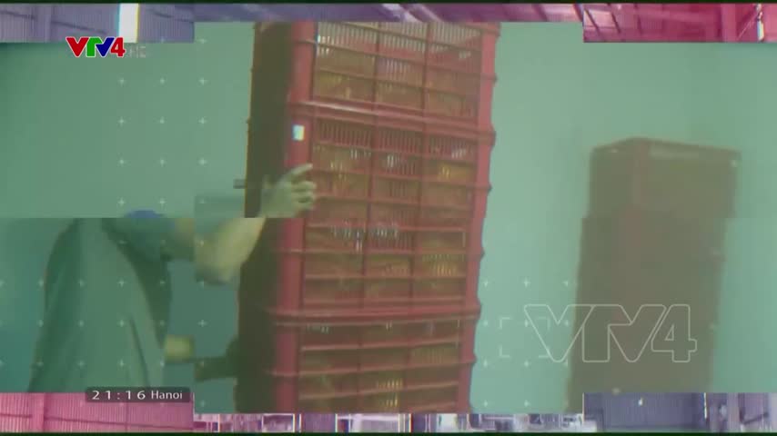 Tiêu điểm: Tiềm năng rau quả cấp đông và chế biến