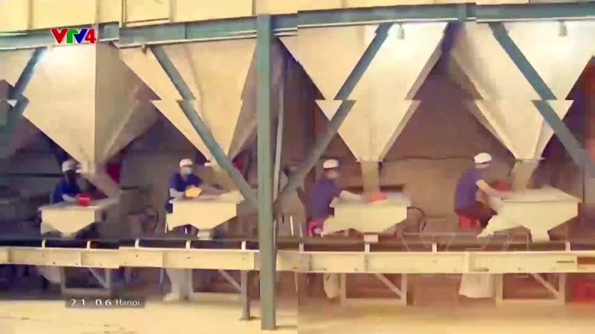 Focus: Việt Nam tự cường