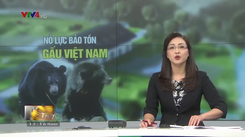 Nỗ lực chấm dứt nuôi nhốt gấu tại Việt Nam