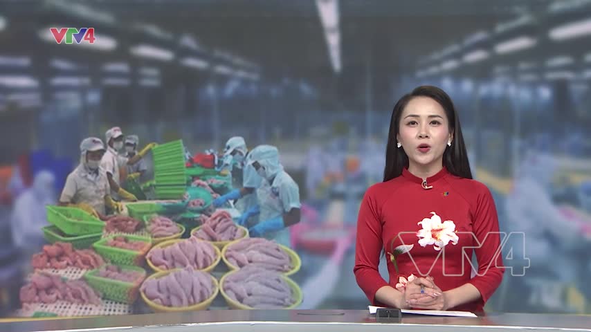 Xuất khẩu cá tra dự kiến đạt 2,1 tỷ USD