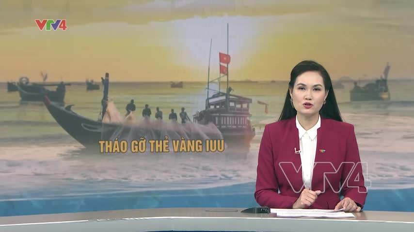 Phát triển ngành thủy sản bền vững, có trách nhiệm