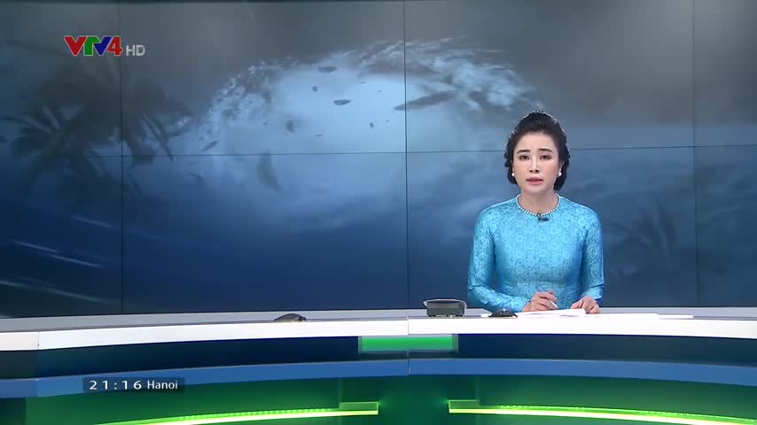 Quảng Ninh chủ động phòng chống bão số 3