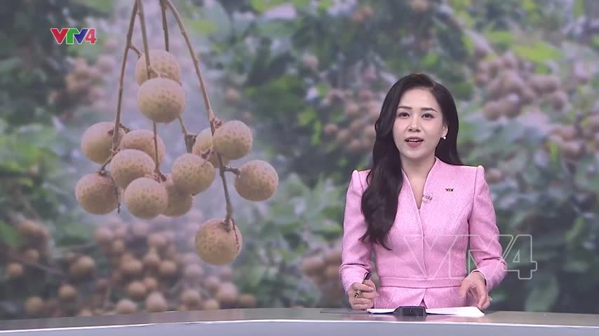 Vùng nhãn nâng cấp tiêu chuẩn gia tăng giá trị