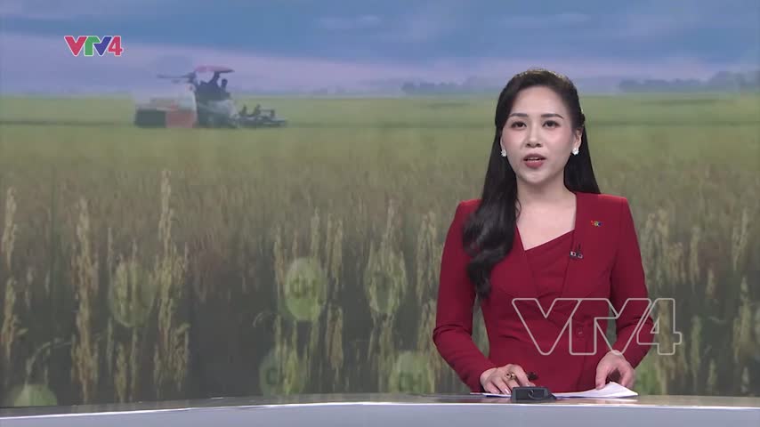 Thúc đẩy mô hình nông nghiệp giảm phát thải