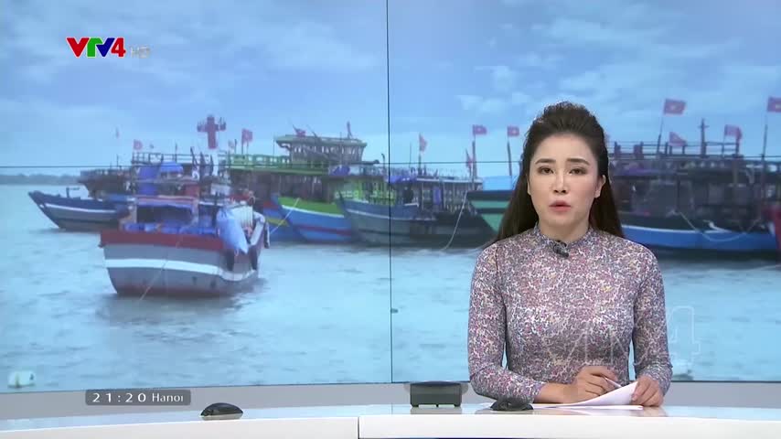 Các địa phương phòng chống bão