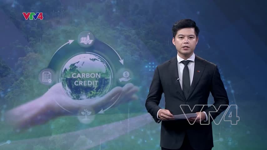 Hiệu quả kết nối dự án carbon thấp tại Việt Nam với nguồn vốn xanh