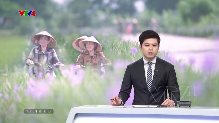 Hải Dương tạo lập miền quê đáng sống